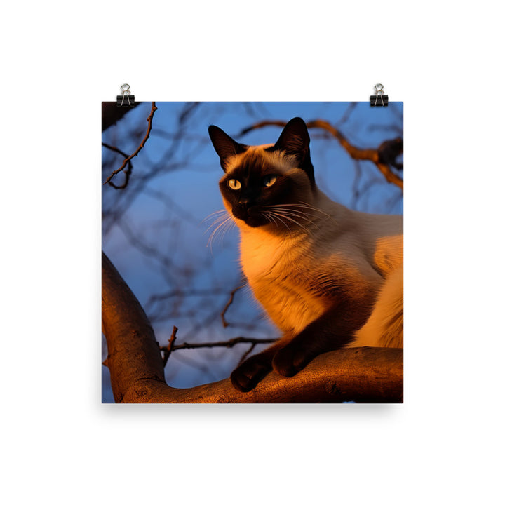 Majestic Siamese at Sunset photo paper poster - Posterfy.AI