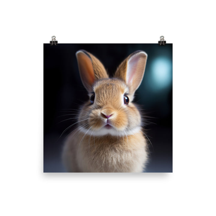 Adorable Dutch Bunny Photo paper poster - PosterfyAI.com