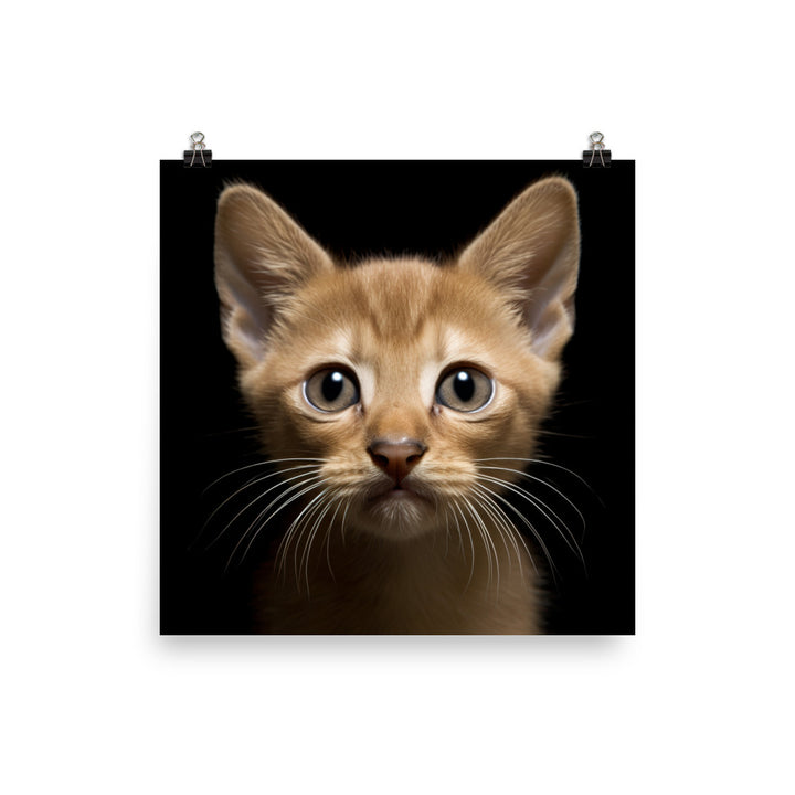 Playful World of Burmese Kitten Photo paper poster - PosterfyAI.com