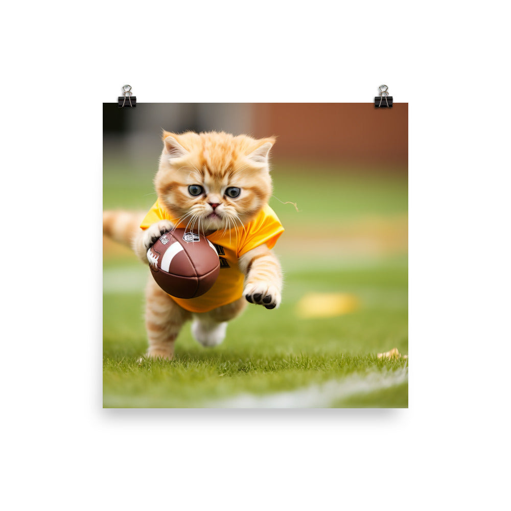 Exotic Shorthair Football Player Photo paper poster - PosterfyAI.com