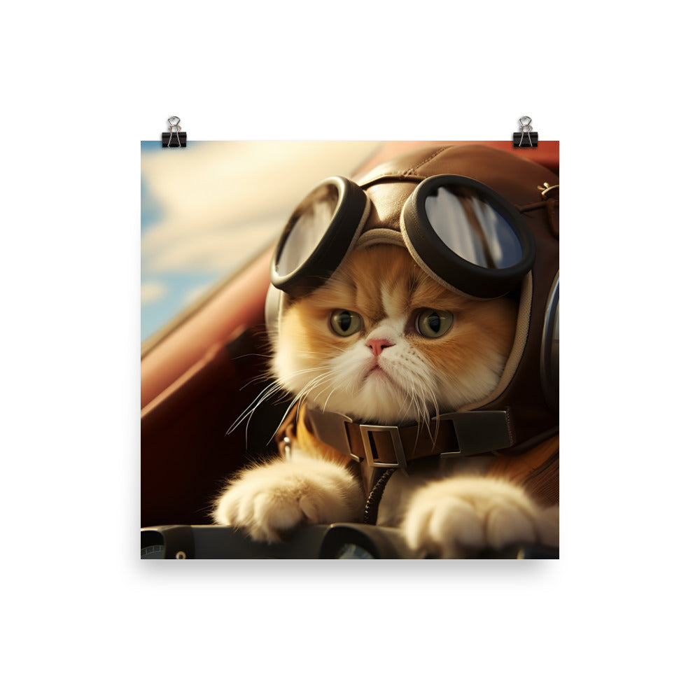Exotic Shorthair Pilot Photo paper poster - PosterfyAI.com