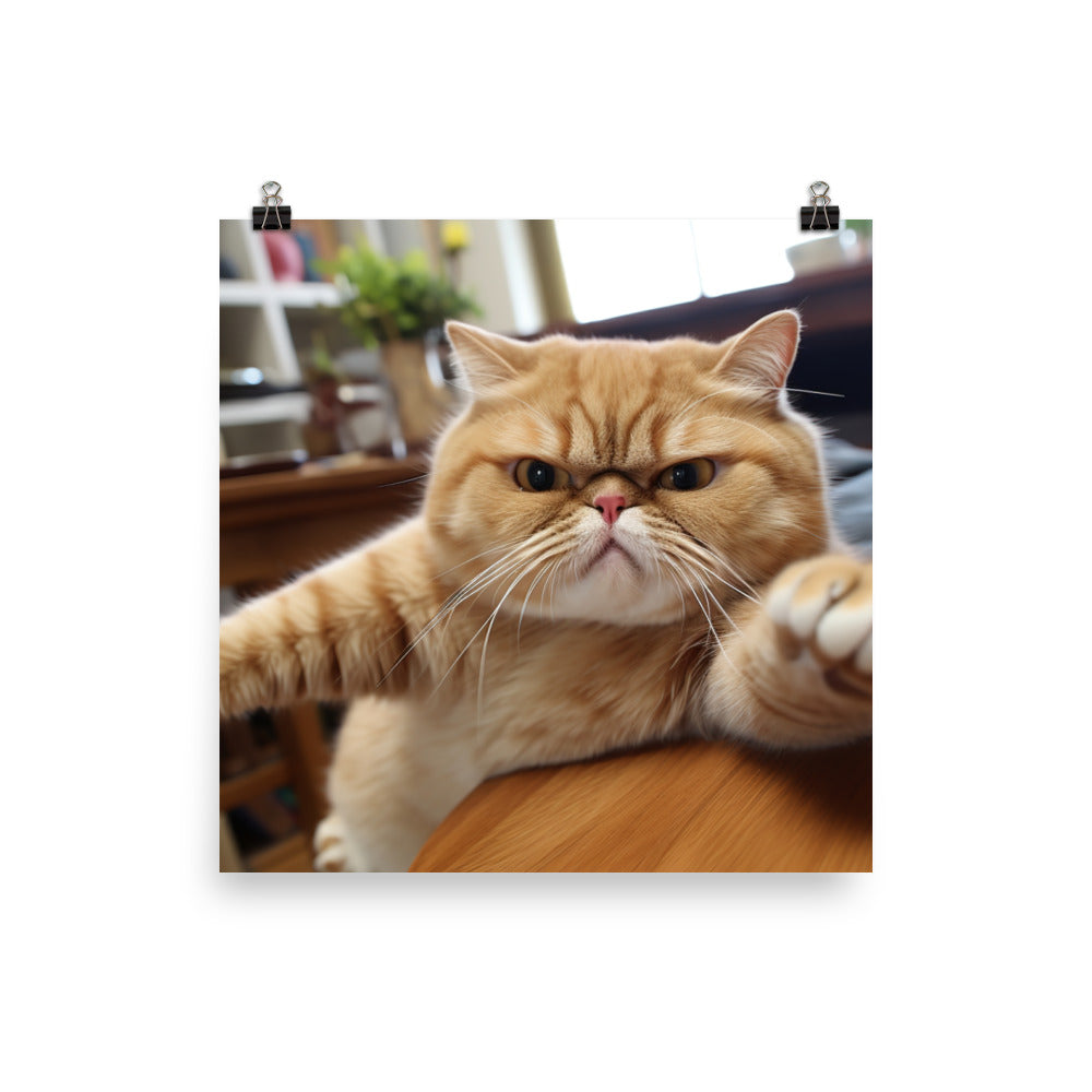 Exotic Shorthair Photo paper poster - PosterfyAI.com