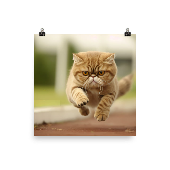 Exotic Shorthair Photo paper poster - PosterfyAI.com