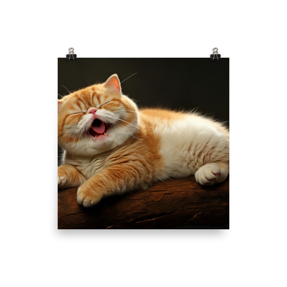 Exotic Shorthair Photo paper poster - PosterfyAI.com