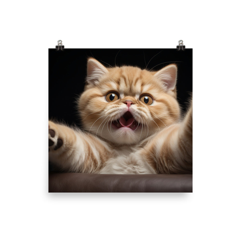 Exotic Shorthair Photo paper poster - PosterfyAI.com