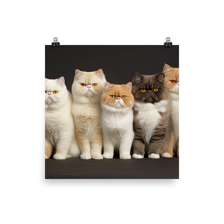 Exotic Shorthair Photo paper poster - PosterfyAI.com