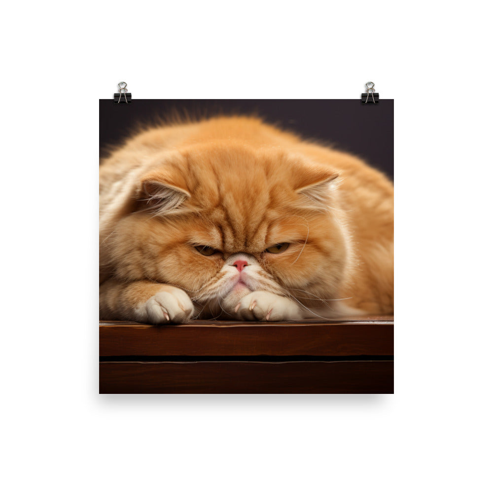 Exotic Shorthair Photo paper poster - PosterfyAI.com