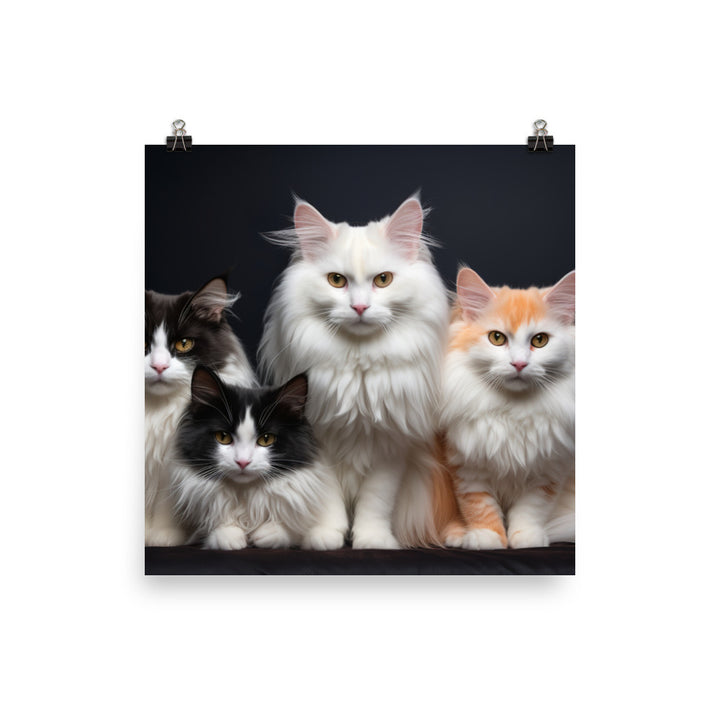 Turkish Van Photo paper poster - PosterfyAI.com