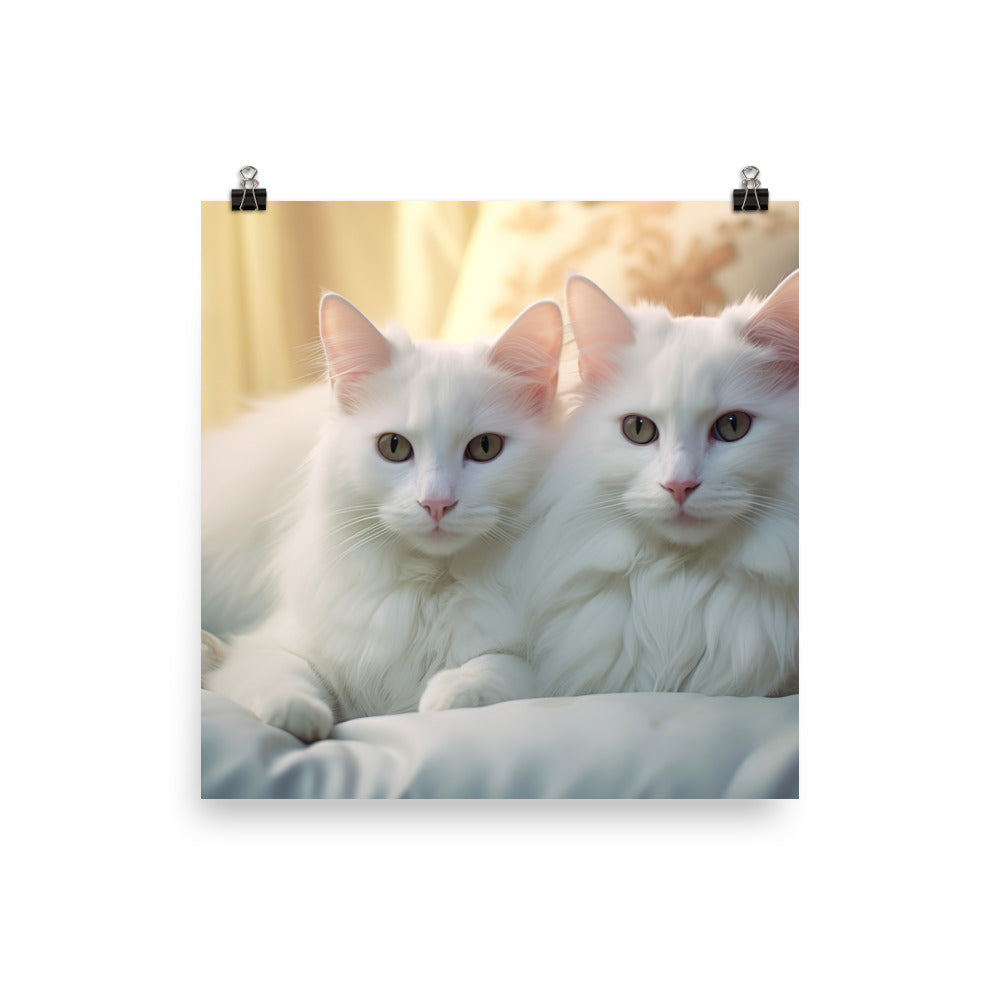 Turkish Van Photo paper poster - PosterfyAI.com