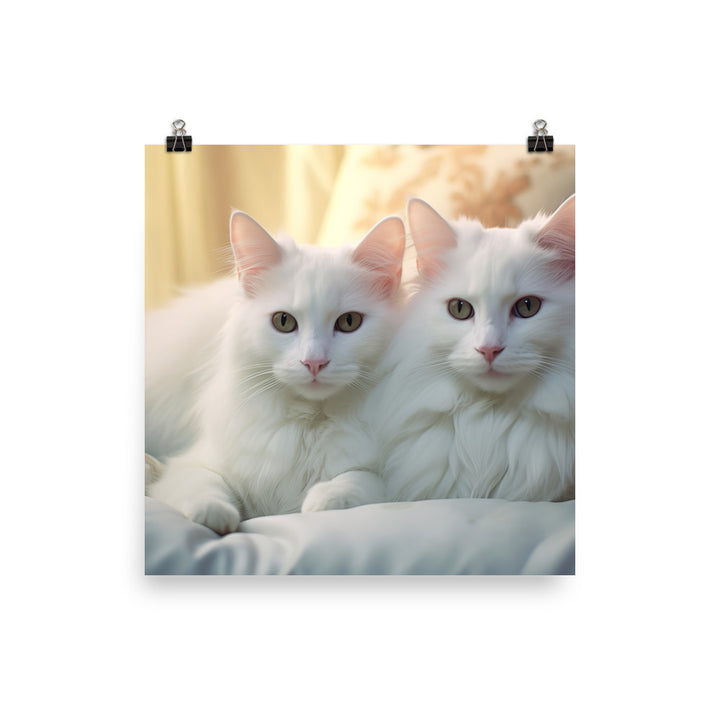 Turkish Van Photo paper poster - PosterfyAI.com