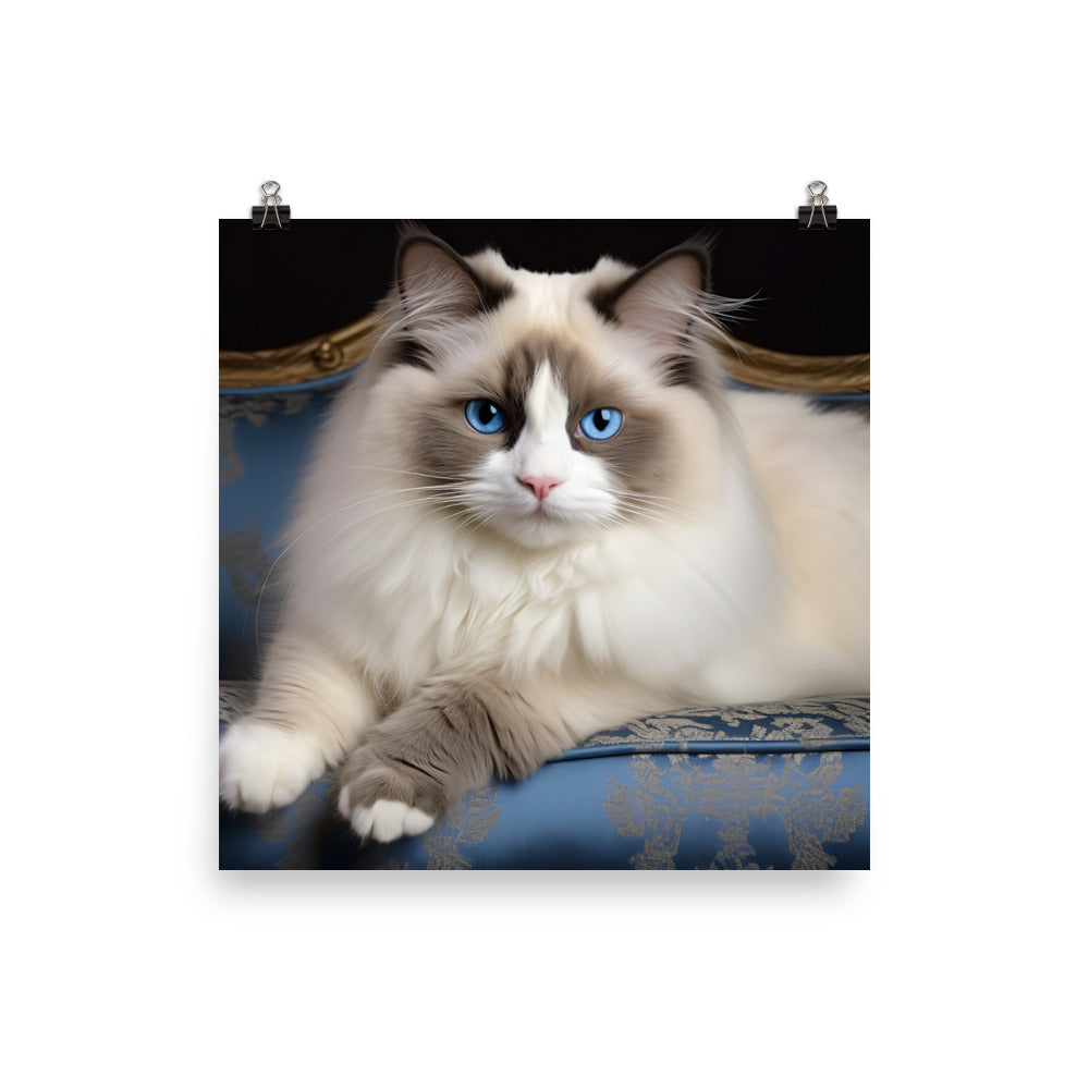 Ragdoll Photo paper poster - PosterfyAI.com
