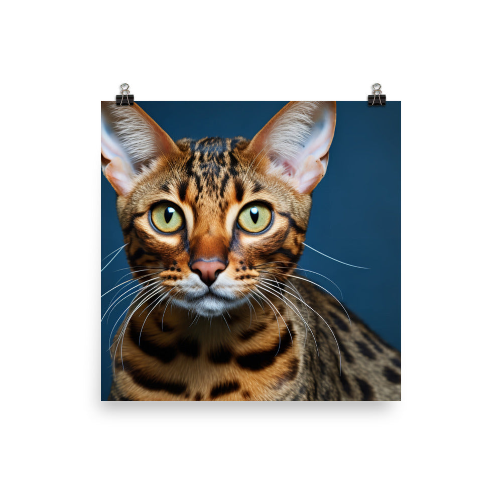 Ocicat Photo paper poster - PosterfyAI.com