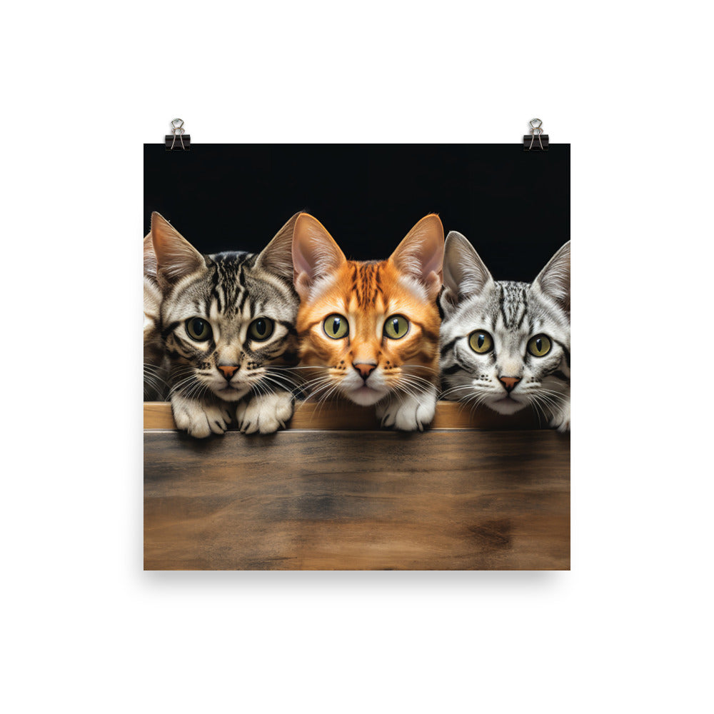 Ocicat Photo paper poster - PosterfyAI.com