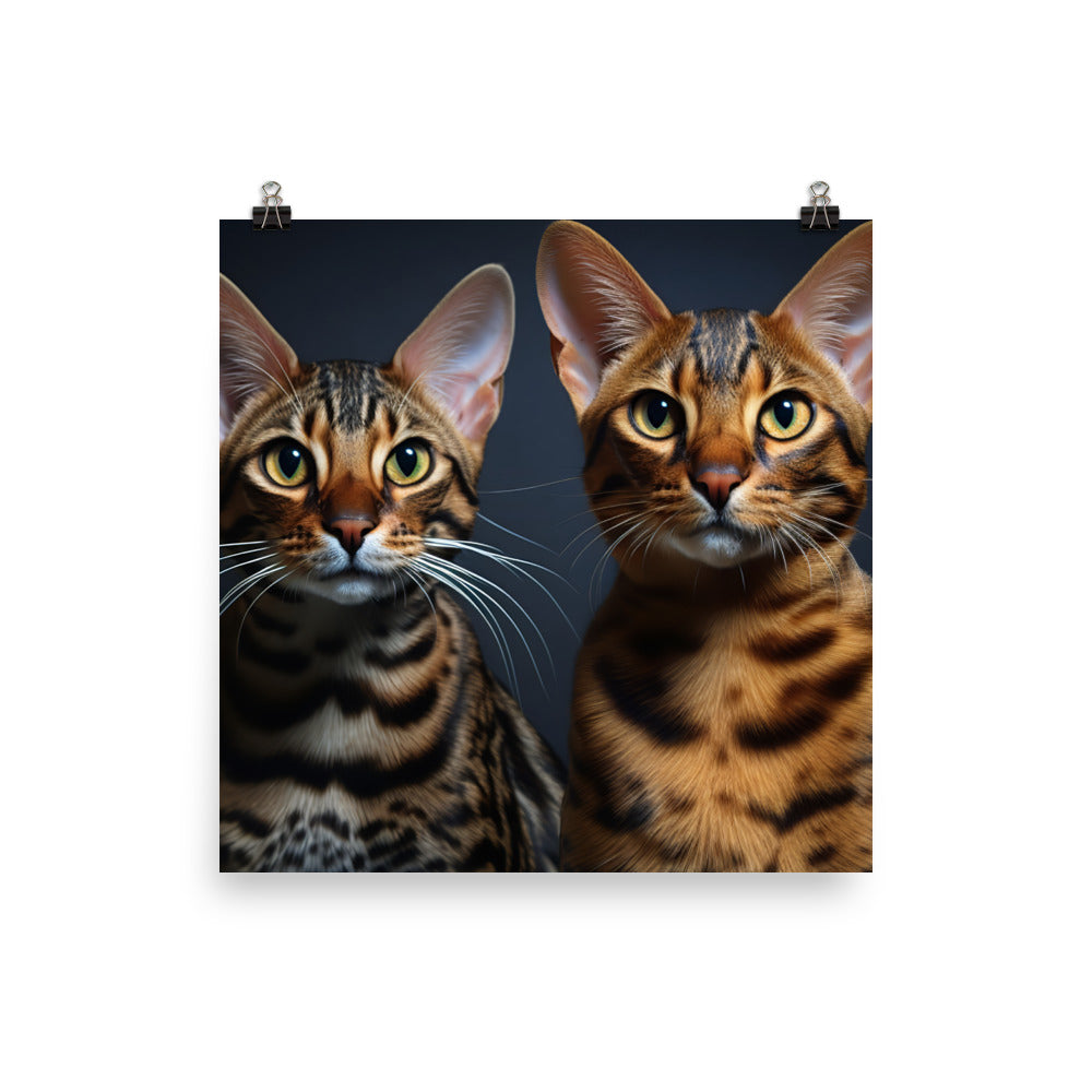 Ocicat Photo paper poster - PosterfyAI.com