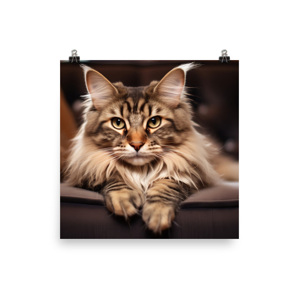 Maine Coon Photo paper poster - PosterfyAI.com