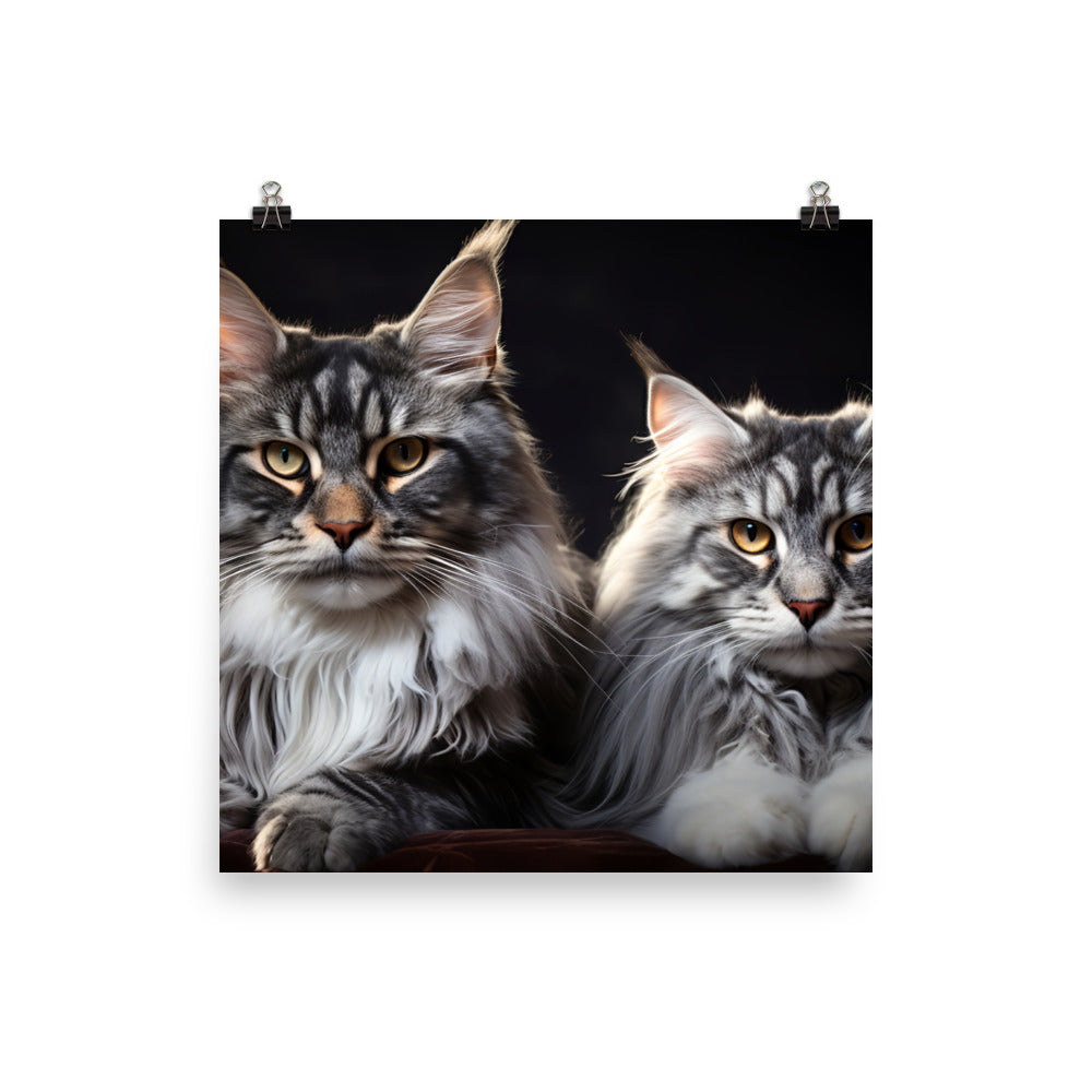 Maine Coon Photo paper poster - PosterfyAI.com