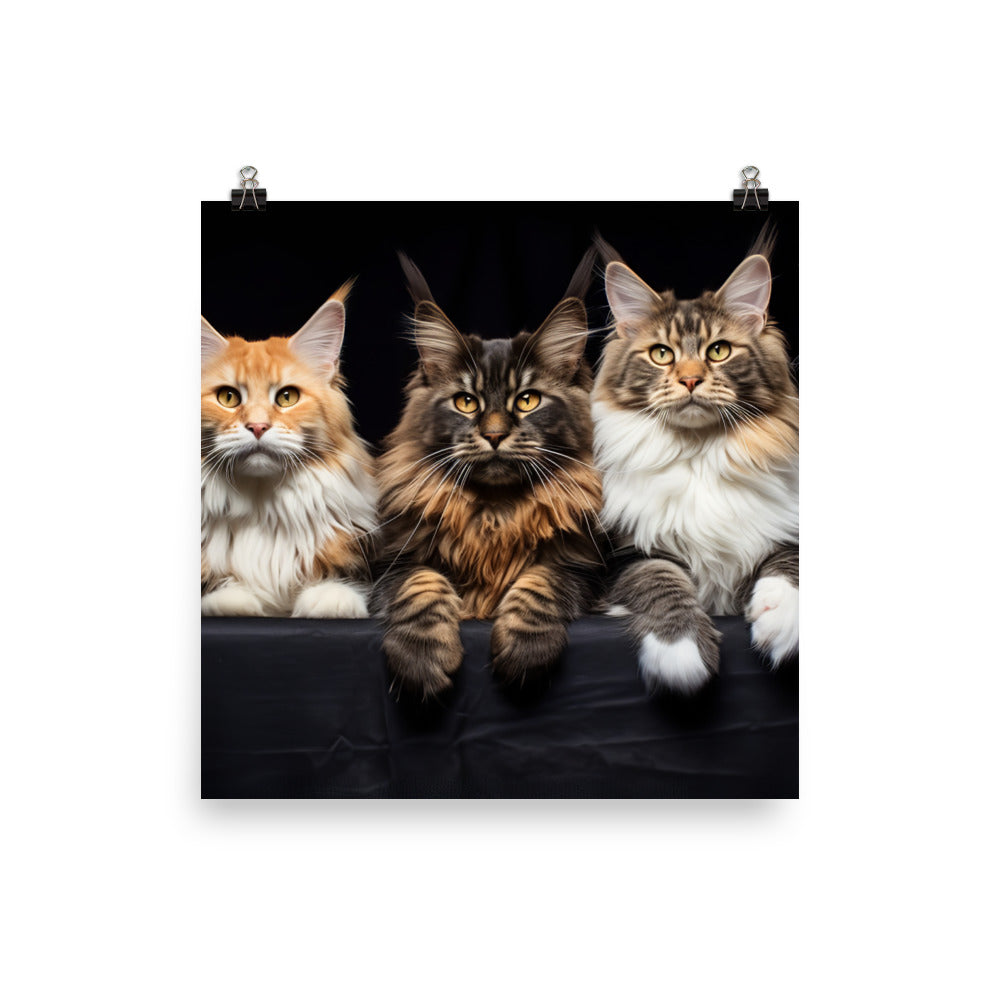 Maine Coon Photo paper poster - PosterfyAI.com