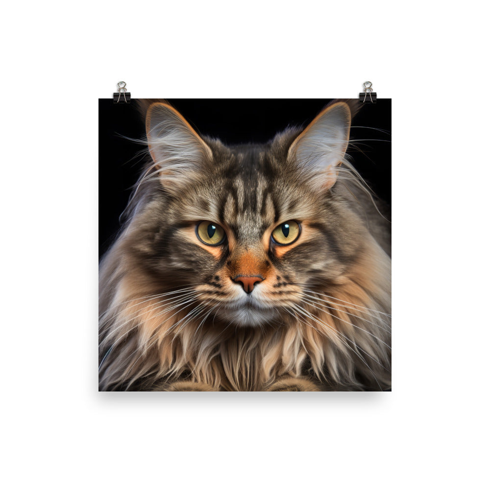 Maine Coon Photo paper poster - PosterfyAI.com