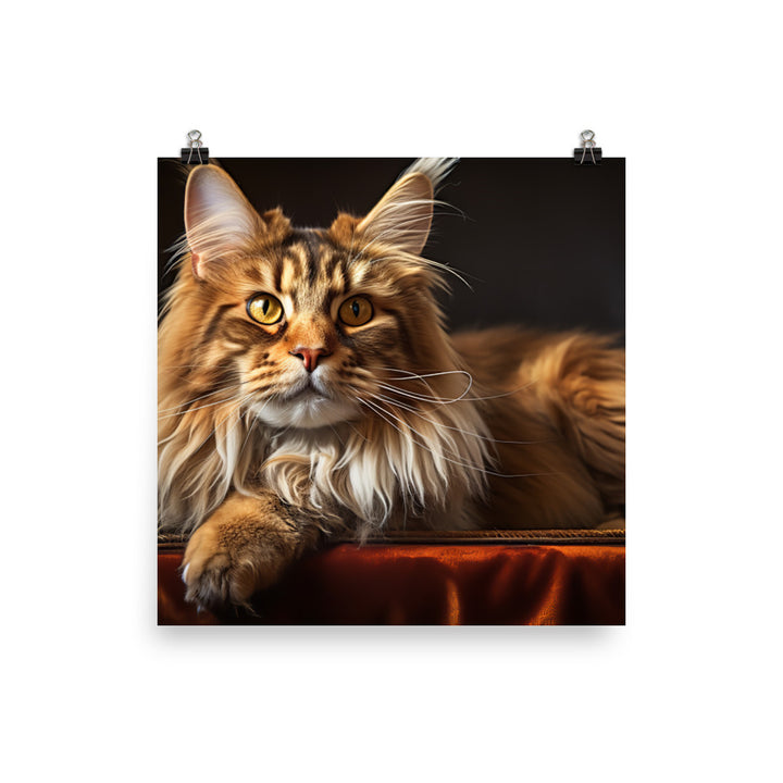 Maine Coon Photo paper poster - PosterfyAI.com