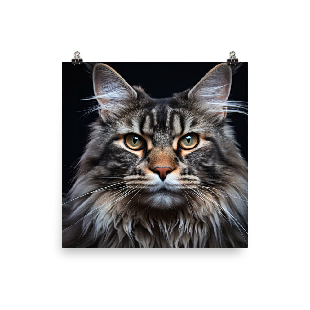 Maine Coon Photo paper poster - PosterfyAI.com