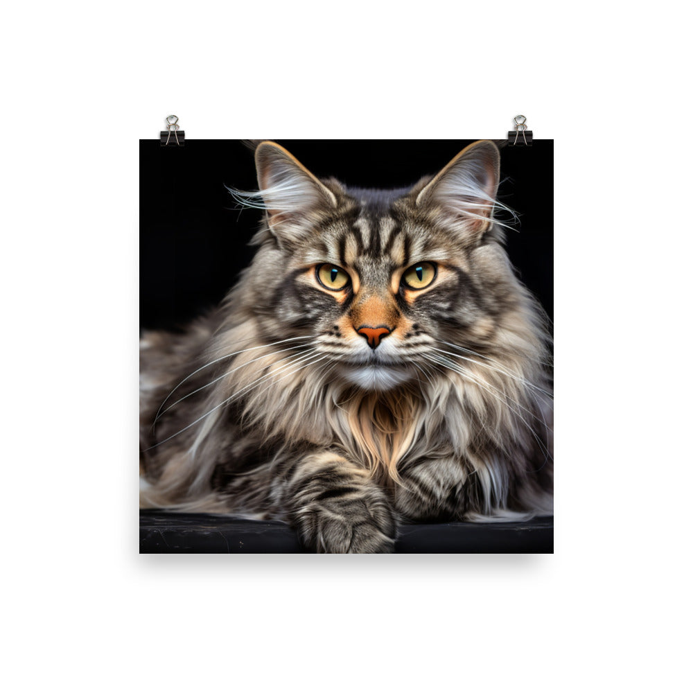 Maine Coon Photo paper poster - PosterfyAI.com