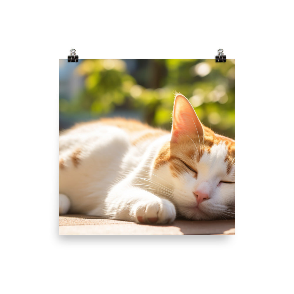 Japanese Bobtail Photo paper poster - PosterfyAI.com