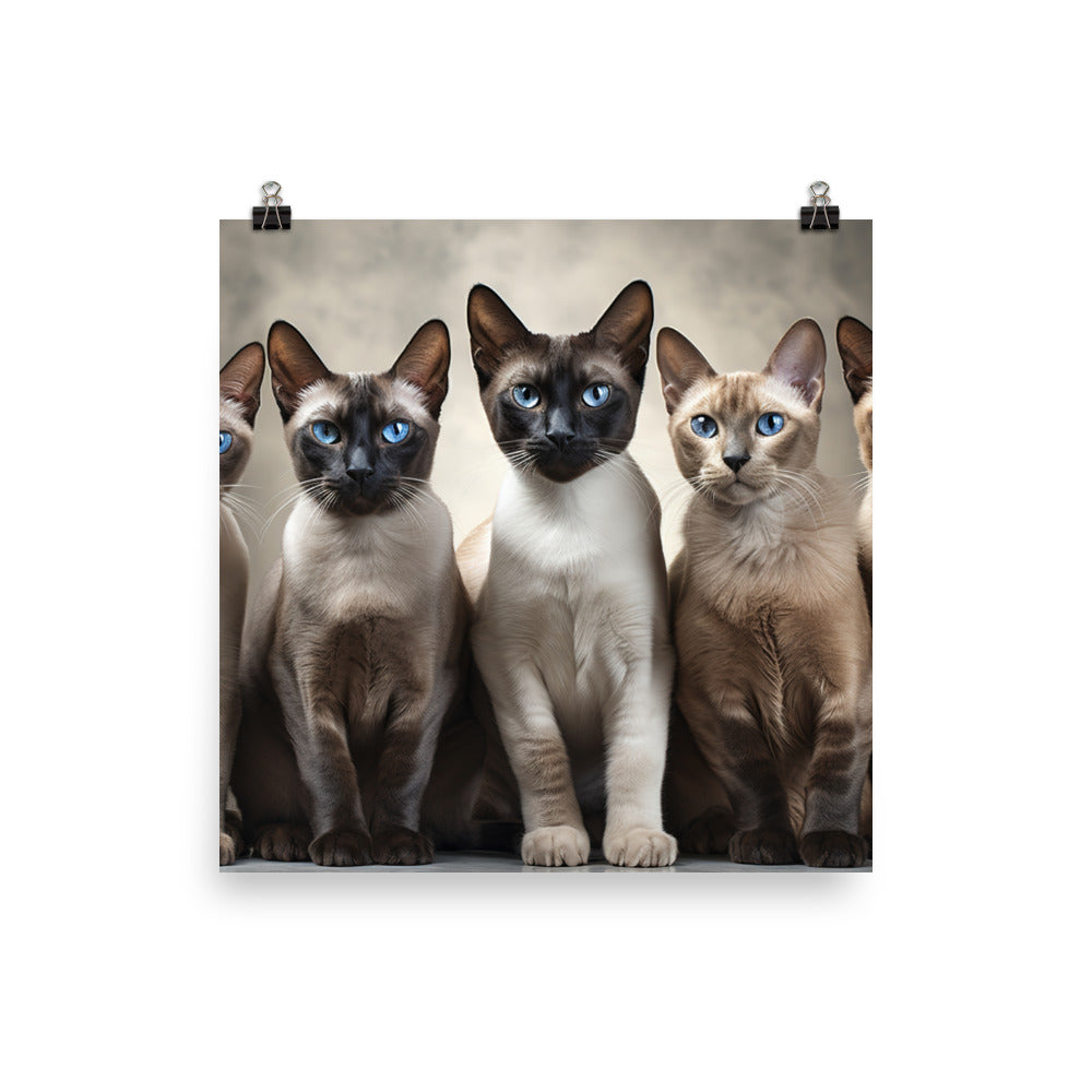 Tonkinese Photo paper poster - PosterfyAI.com