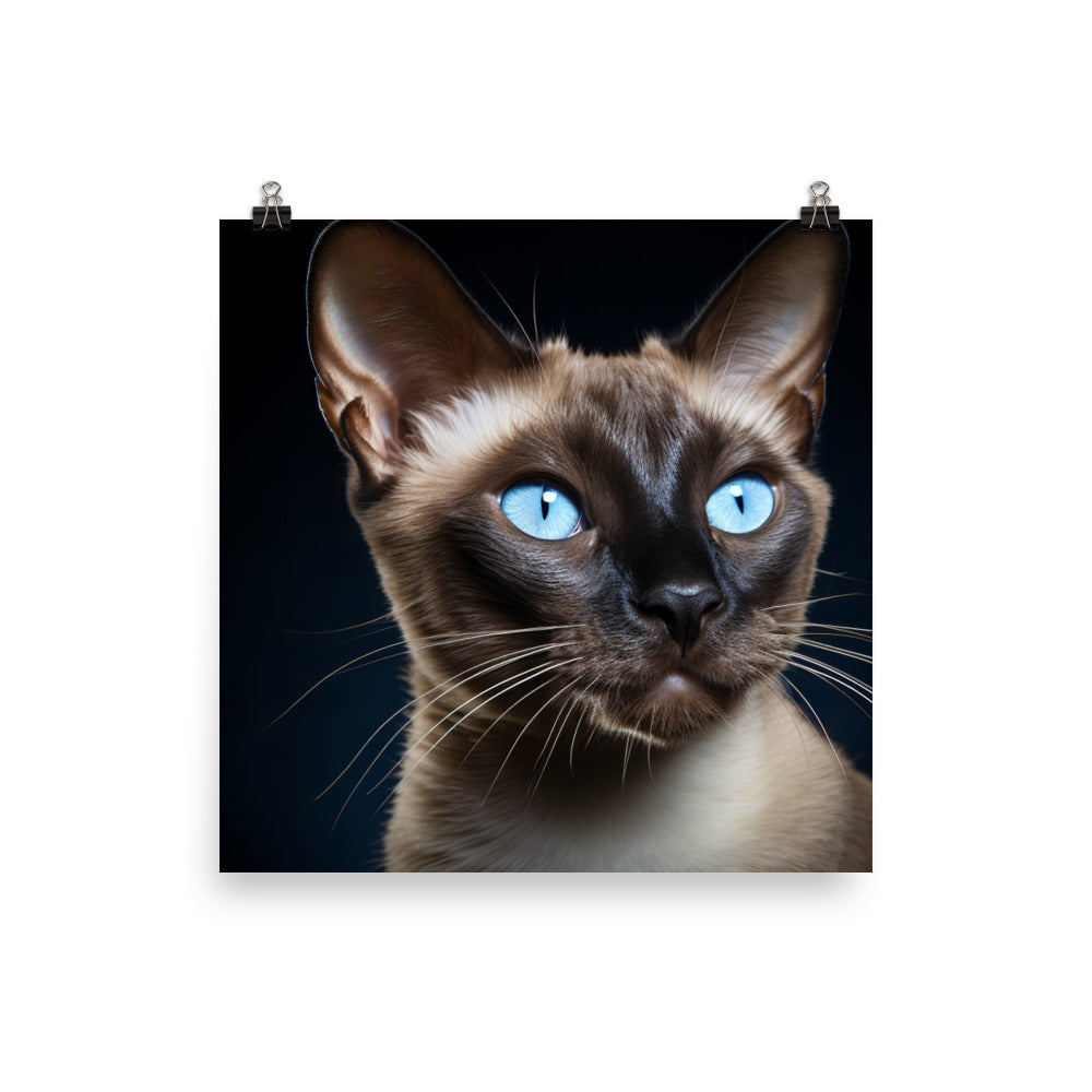 Tonkinese Photo paper poster - PosterfyAI.com