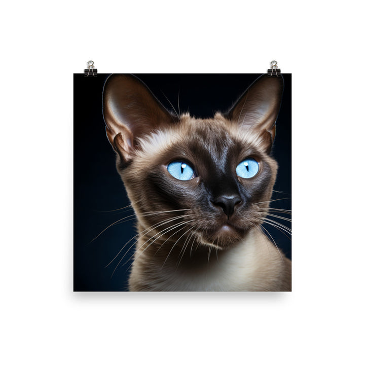 Tonkinese Photo paper poster - PosterfyAI.com
