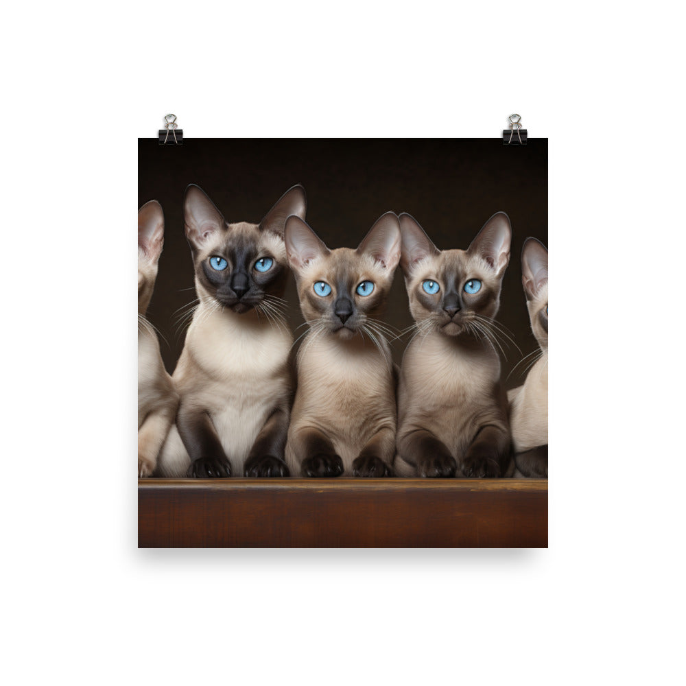 Tonkinese Photo paper poster - PosterfyAI.com
