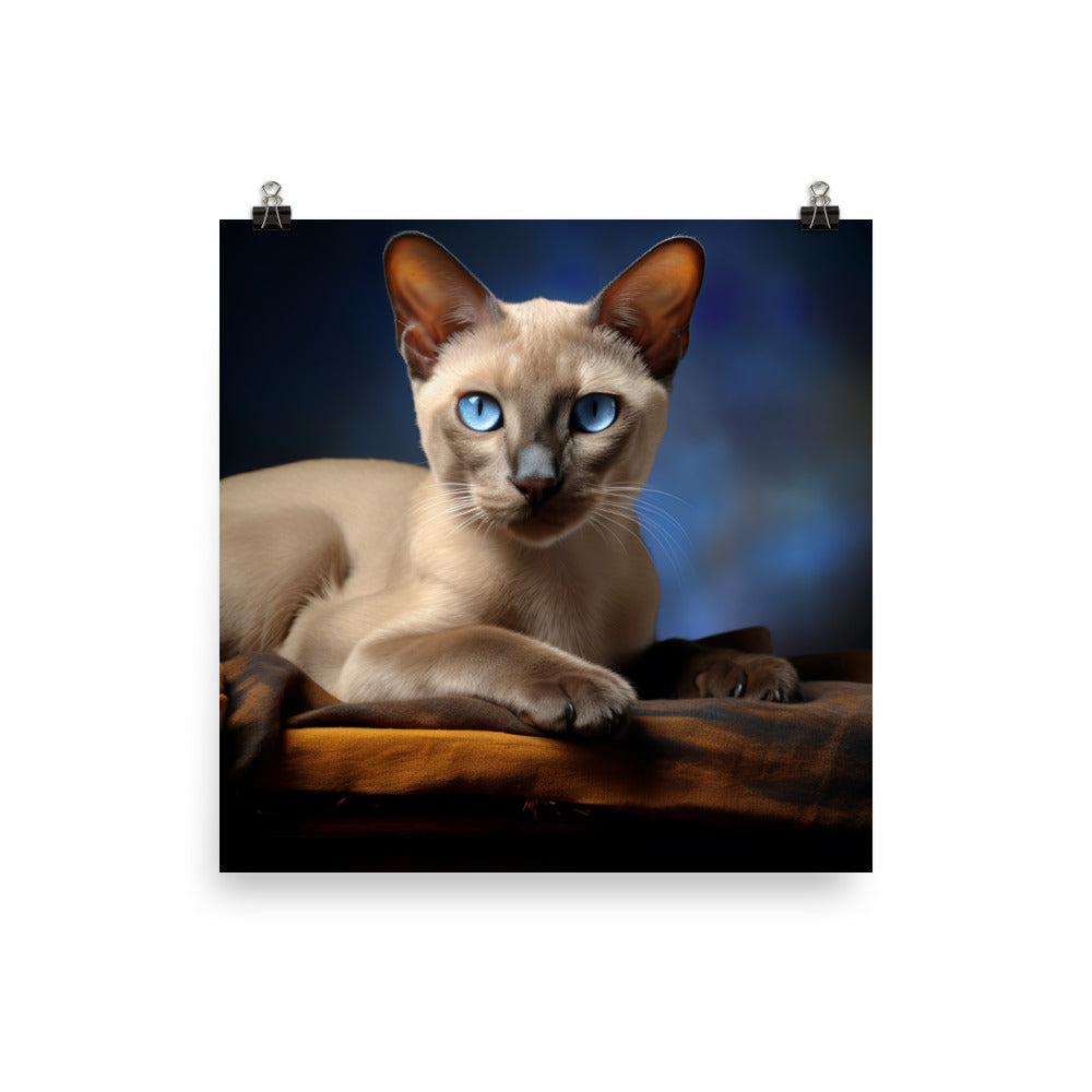 Tonkinese Photo paper poster - PosterfyAI.com