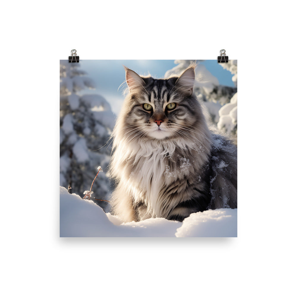 Norwegian Forest Photo paper poster - PosterfyAI.com