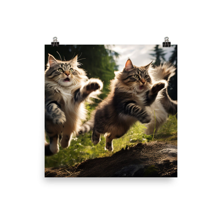 Norwegian Forest Photo paper poster - PosterfyAI.com