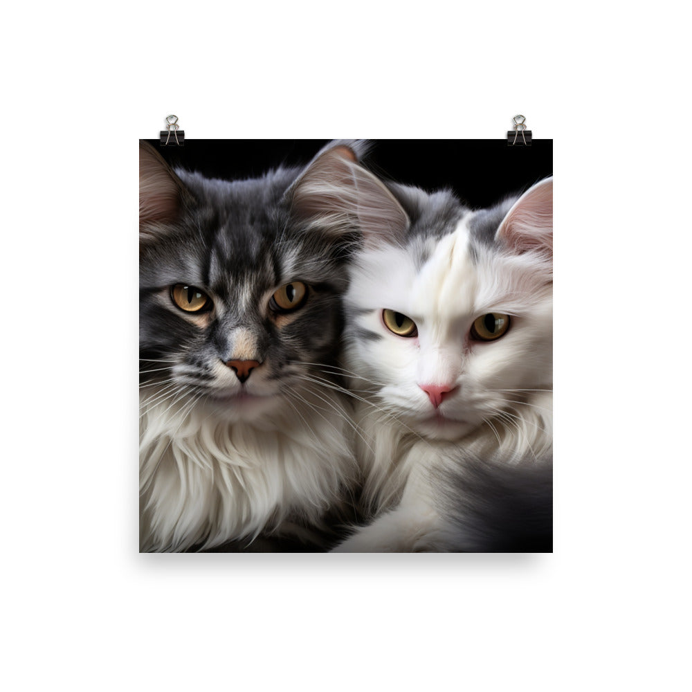 Norwegian Forest Photo paper poster - PosterfyAI.com