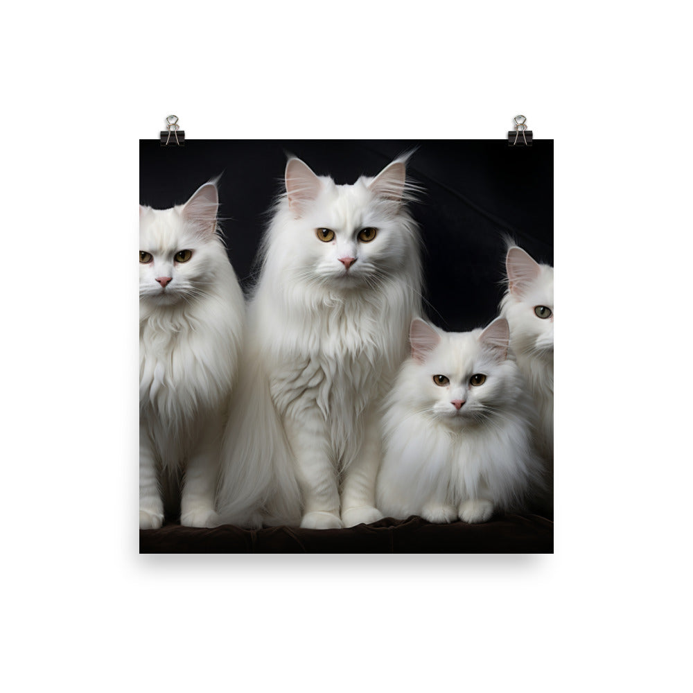 Turkish Angora Photo paper poster - PosterfyAI.com