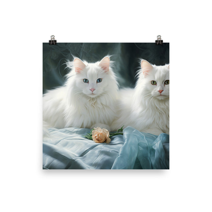 Turkish Angora Photo paper poster - PosterfyAI.com