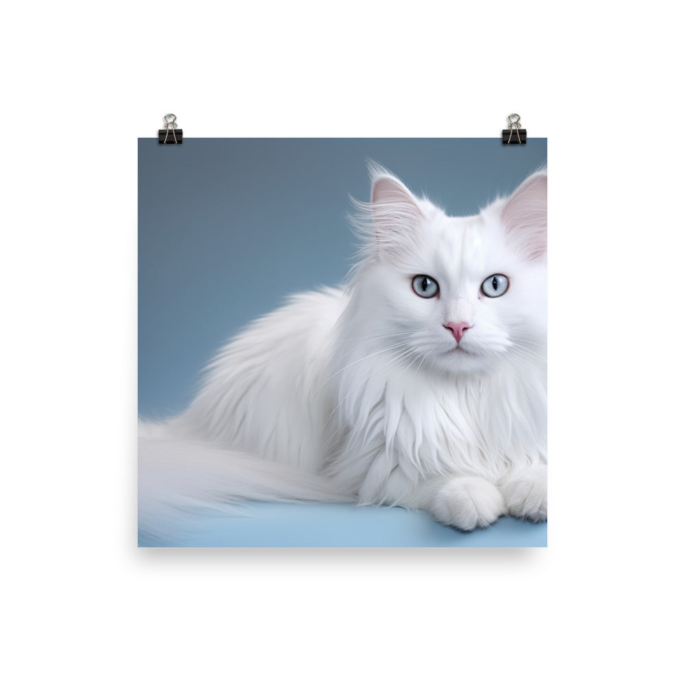 Turkish Angora Photo paper poster - PosterfyAI.com