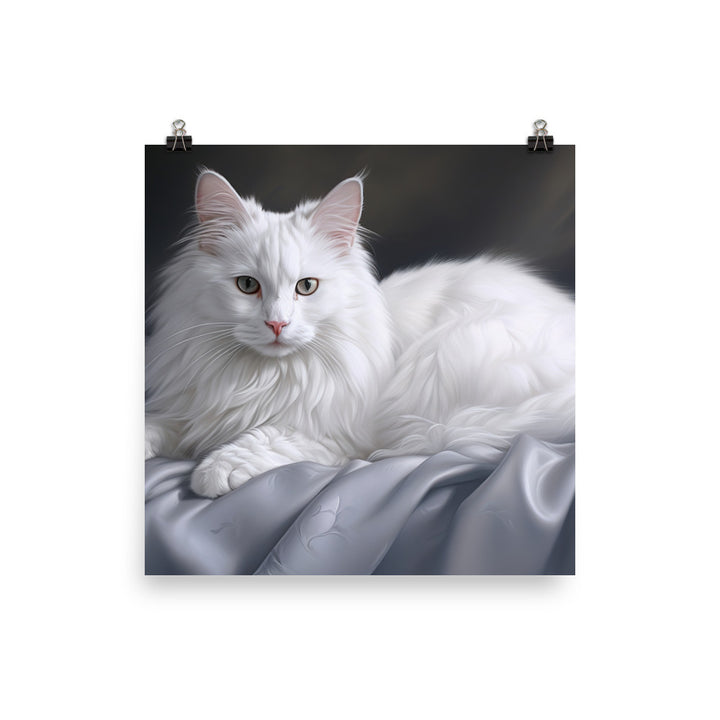 Turkish Angora Photo paper poster - PosterfyAI.com