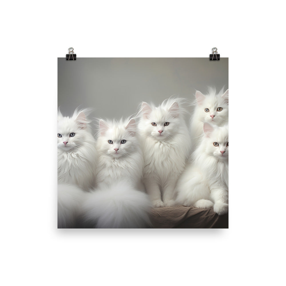 Turkish Angora Photo paper poster - PosterfyAI.com