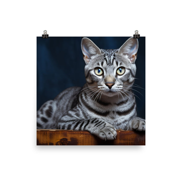 Egyptian Mau Photo paper poster - PosterfyAI.com