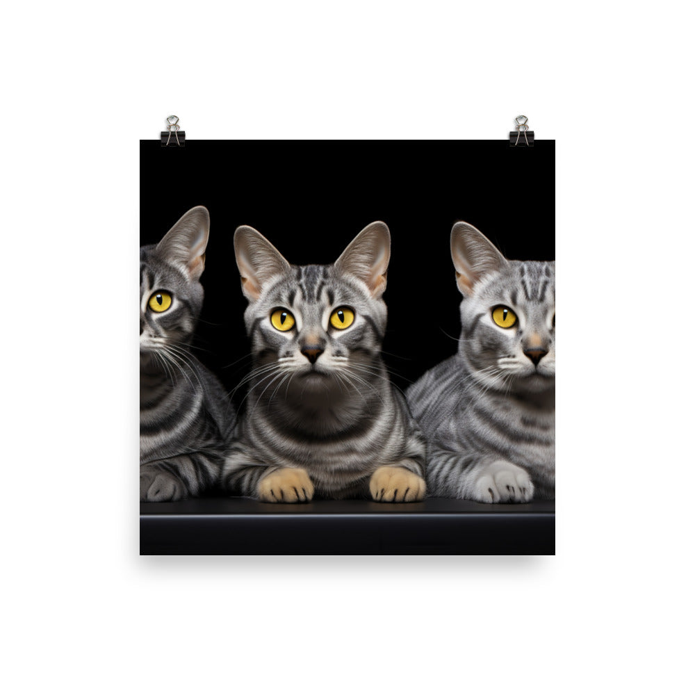 Egyptian Mau Photo paper poster - PosterfyAI.com