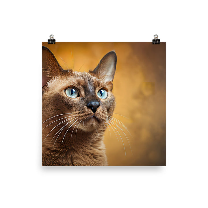 Burmese Photo paper poster - PosterfyAI.com