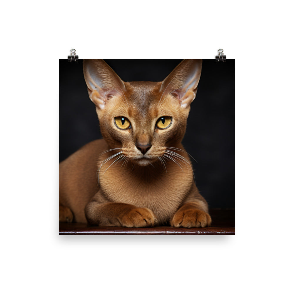 Burmese Photo paper poster - PosterfyAI.com