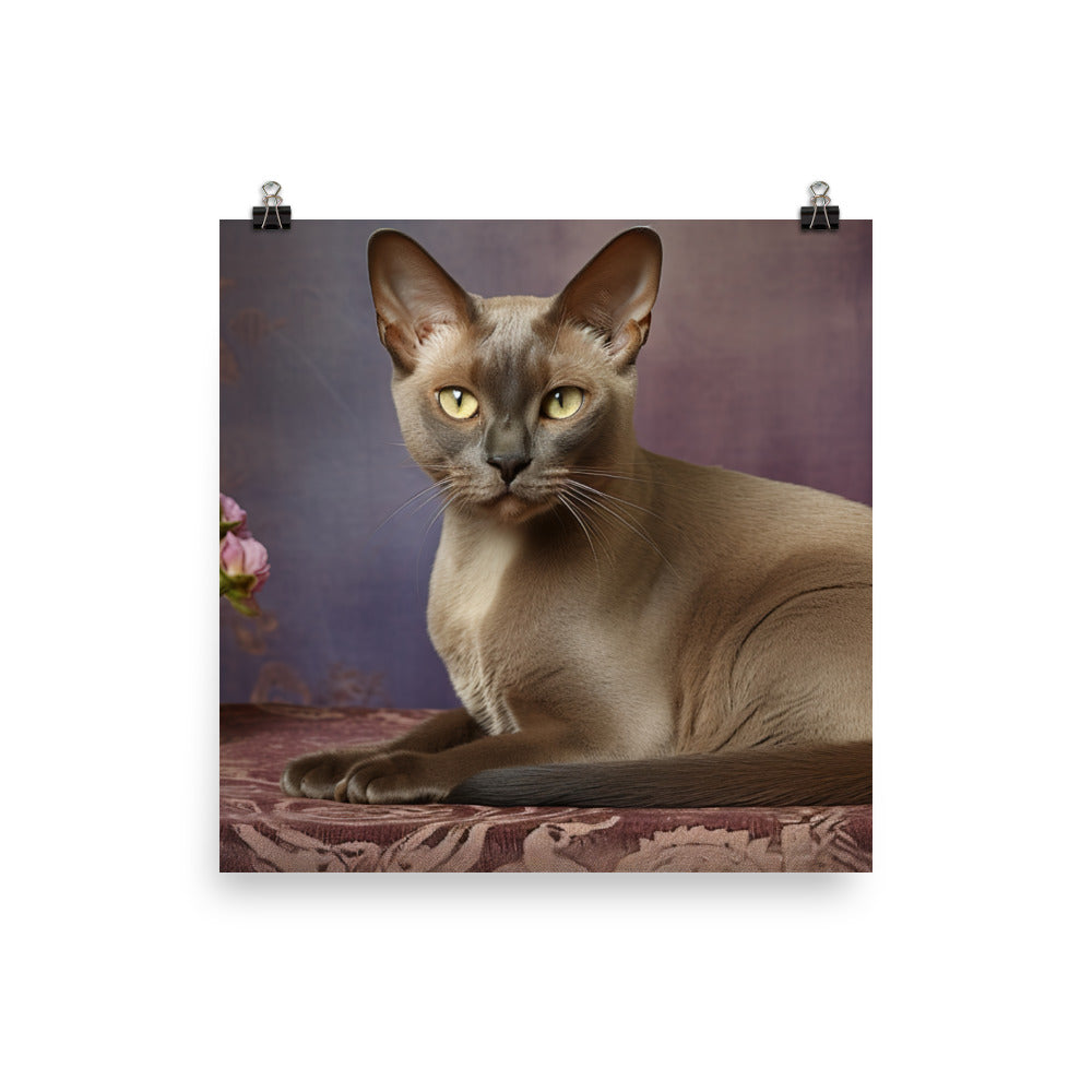 Burmese Photo paper poster - PosterfyAI.com