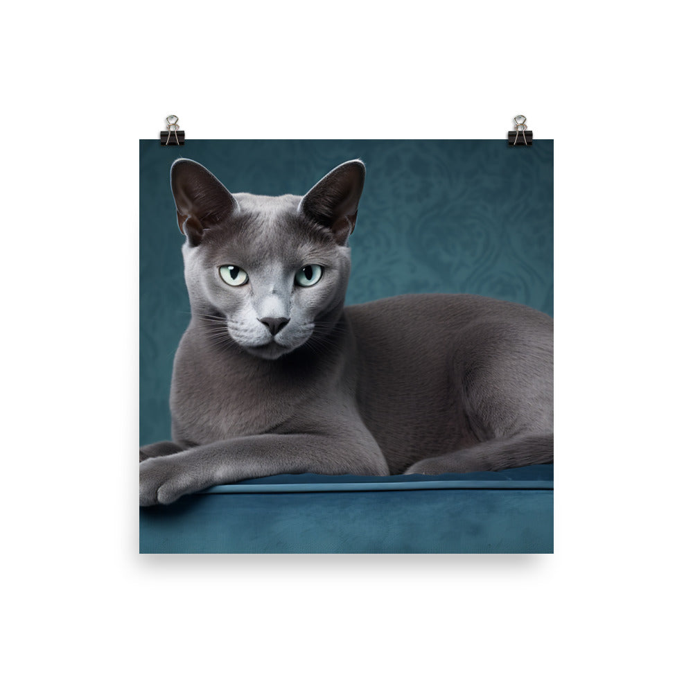 Russian Blue Photo paper poster - PosterfyAI.com