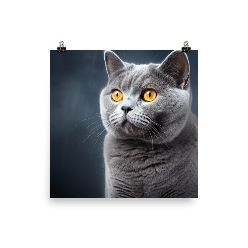 British Shorthair Photo paper poster - PosterfyAI.com