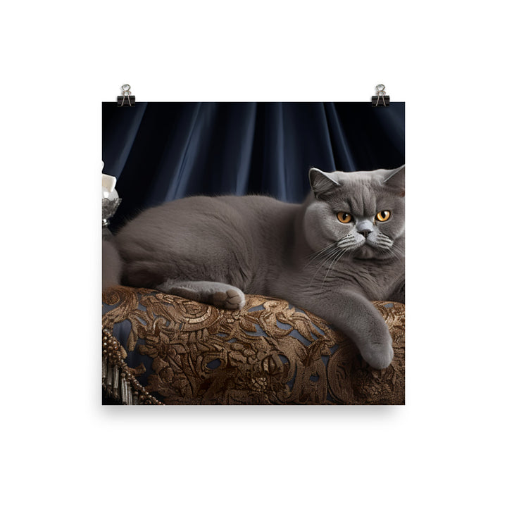 British Shorthair Photo paper poster - PosterfyAI.com