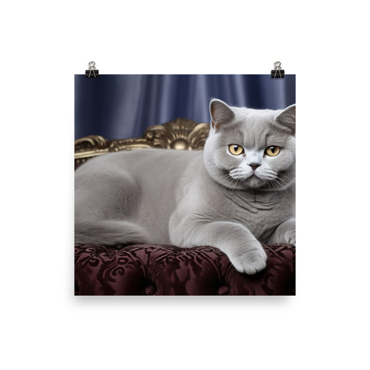 British Shorthair Photo paper poster - PosterfyAI.com