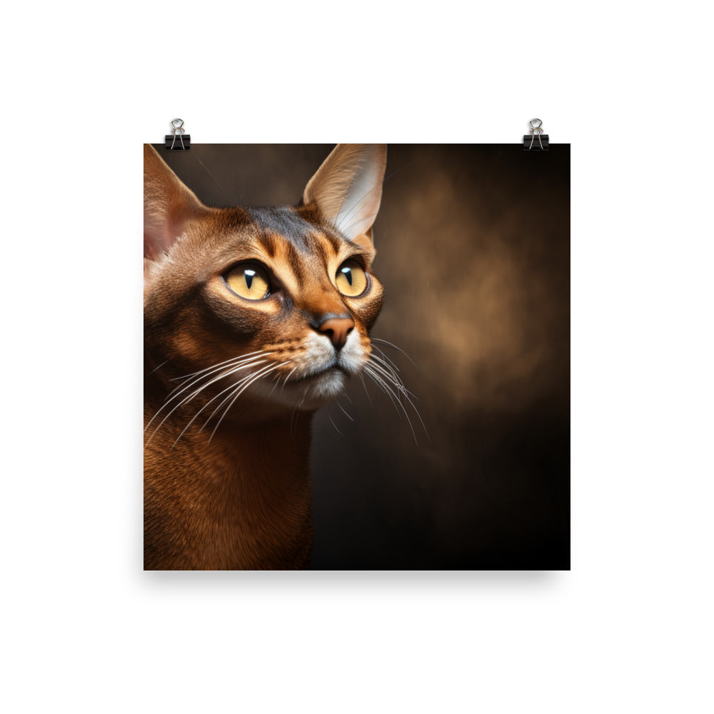 Abyssinian Photo paper poster - PosterfyAI.com