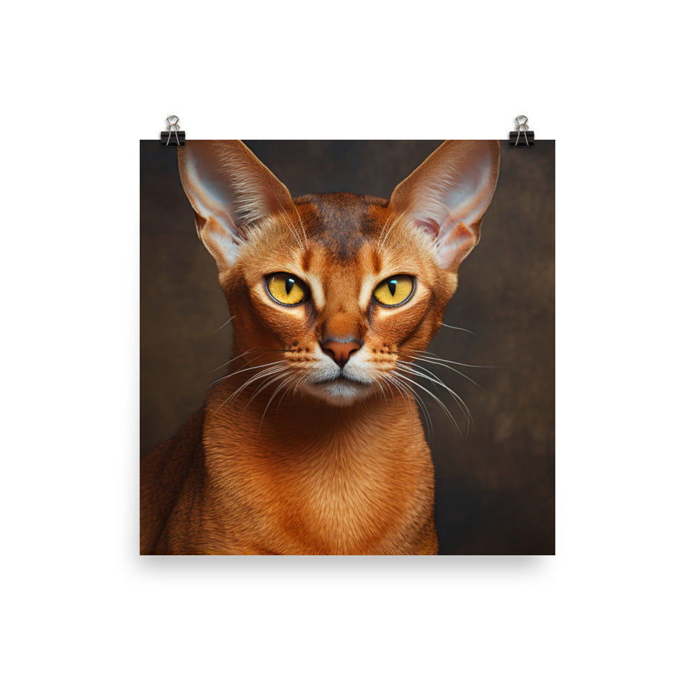 Abyssinian Photo paper poster - PosterfyAI.com